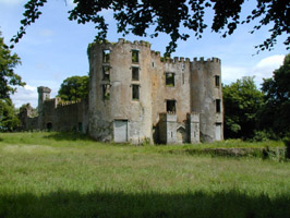 Buttevant Castle